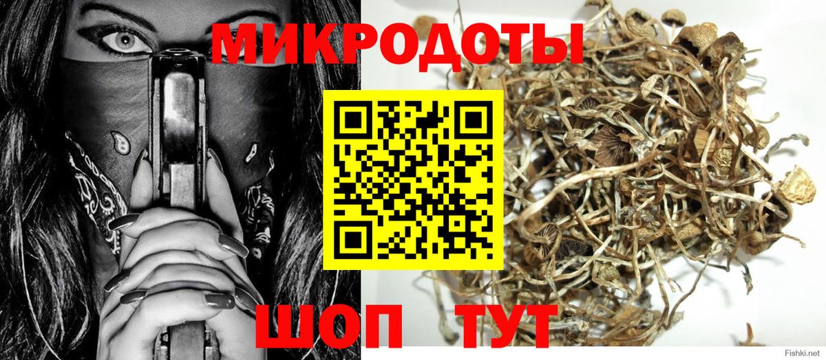 Галлюциногенные грибы мухоморы Славгород